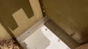 HOW Ferrero Rocher IS MADE in FACTORY ?| Knowing This Will CHANGE Your Look At Ferrero FOR EVER!