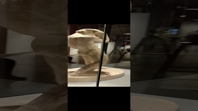 Музей. Современная экспозиция.