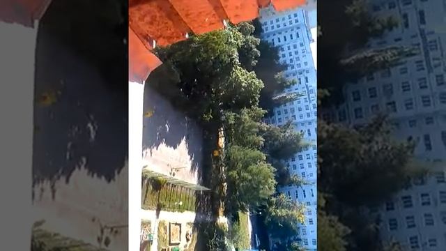 Силантий у бабушки смотреть онлайн