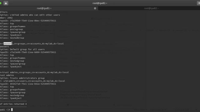IPA server Multi Master setup on Centos/Redhat 8 смотреть онлайн