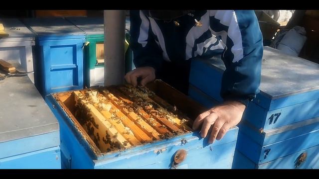 Одноразовое расширение. Как там матки от Ярослава? смотреть онлайн
