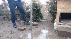 трос/бегунок для собаки своими руками за 5 баксов