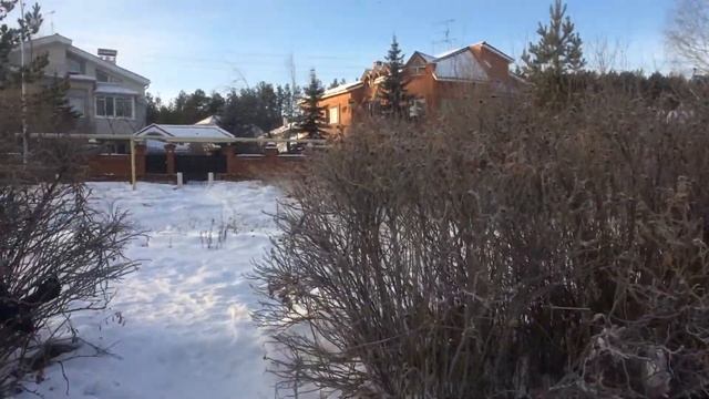 Стая воробьев смотреть онлайн