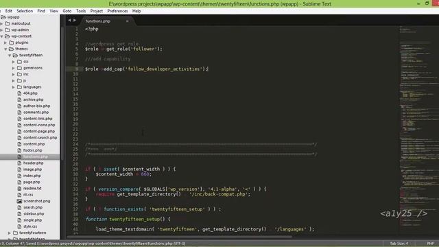 wordpress custom development - get role, add capability, follower смотреть онлайн