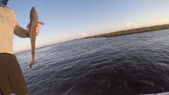 Fishing For Reds and Trout on the Pearl River and Little Lake. смотреть онлайн