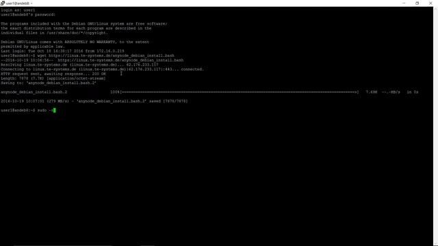 anynode 11 - Debian Installation (engl.) смотреть онлайн