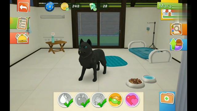 Гипс и рентген Енотику🟠 Измеряем температуру Черному Волку Зорро у него грипп 🔴 Ухаживаем смотреть онлайн