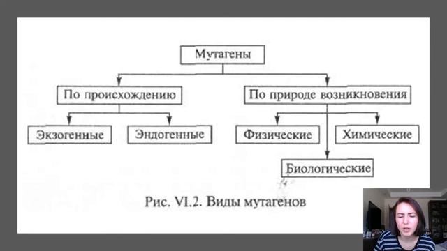 Виды изменчивости, норма реакции, мутагены, мутации смотреть онлайн