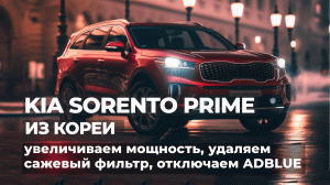Удаление сажевого фильтра, отключение мочевины Adblue, чип-тюнинг Kia Sorento Prime и Santa Fe