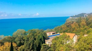 Пансионат Автомобилист в Сочи: Обзор Территории!