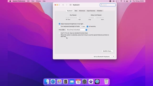 How To Enable F1 F2 .....F12 as Standard Function Keys On Mac Keyboard смотреть онлайн