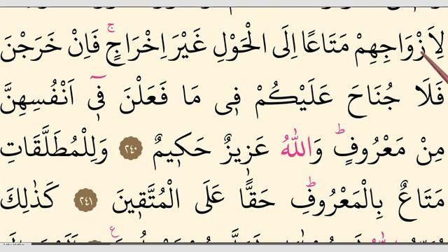 Quran Lessons with Practical Tajweed 🌺Surah al-Baqarah, Verses 238-242 سورۃ البقرۃ #Lesson50 смотреть онлайн