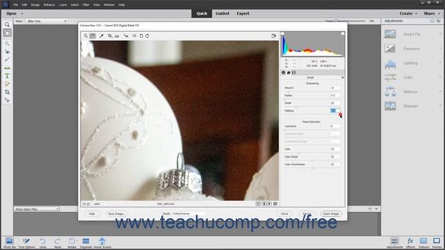 Photoshop Elements 2020 Tutorial Making Image Detail Adjustments Adobe Training смотреть онлайн