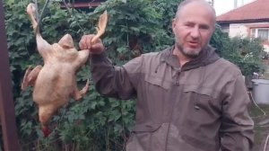 Отзыв об утке SK (СК) 6