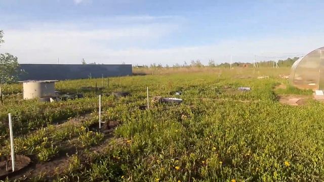 Участок в Радужном 10 сот 1120 т руб смотреть онлайн