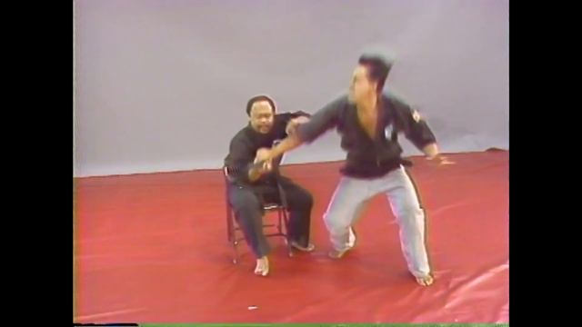 Мастерство Лима Лама - Продвинутые техники Лима Лама с Тедом Табура. Ч 3 смотреть онлайн