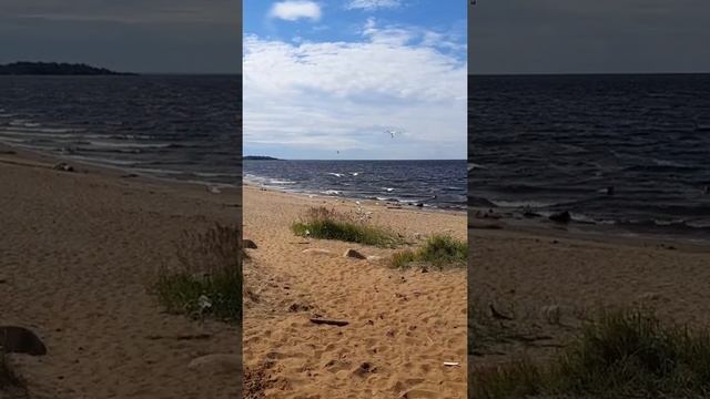 Ладожское озеро?Место для кемпинга? смотреть онлайн