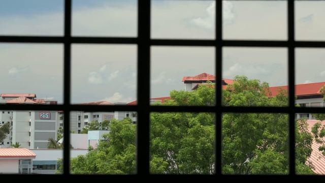 Nikon D850 4K timelapse смотреть онлайн