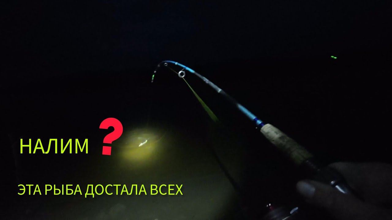 Пришли на НАЛИМА, а там снова ЭТА рыба смотреть онлайн