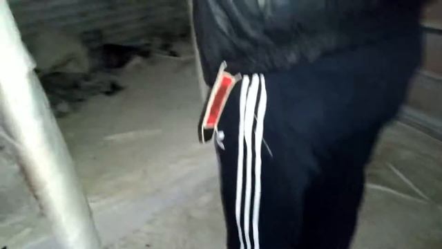 Аренда под склад или цех в Подмосковье,недорого.89165314920 смотреть онлайн