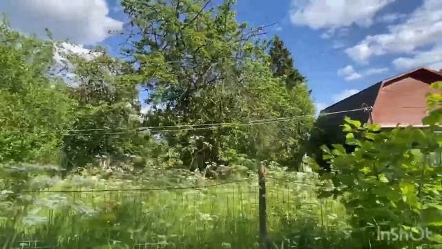 Продается дача в д.Покровка, СНТ "Дзержинец" смотреть онлайн