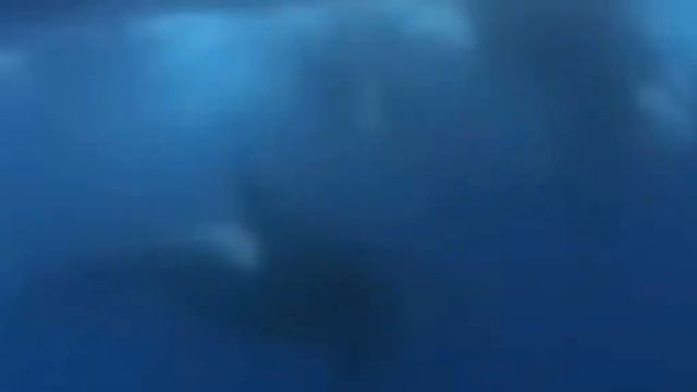 арктические пустыни 🌨️🏜️ смотреть онлайн