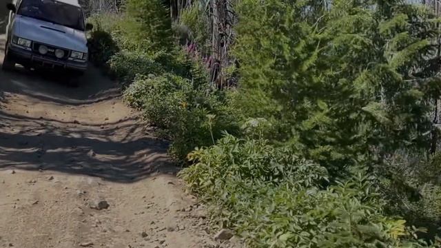 1994 Isuzu Bighorn Irmscher | SODO Moto смотреть онлайн