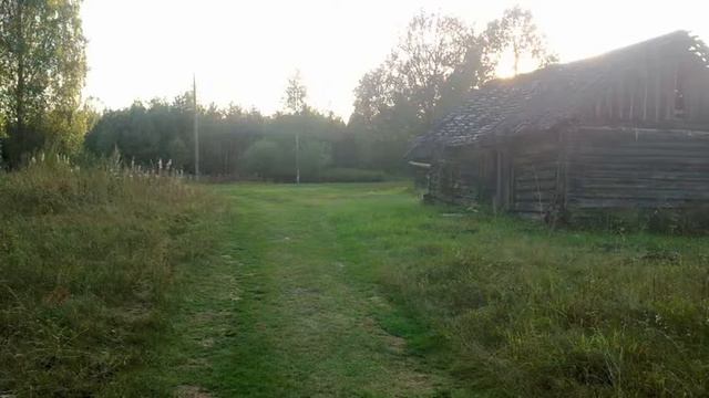 ПОВАДИНО смотреть онлайн