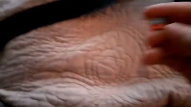 Видео из 90-х| 7 ЧАСТЬ смотреть онлайн