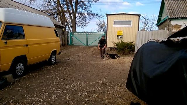 караш азиатская овчарка (алабай) нкд смотреть онлайн