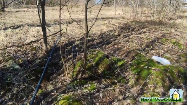 Нашёл в деревне единомышленника и новый участок. смотреть онлайн