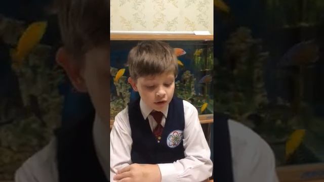 12 ноября-День Конституции.Балашов Кирилл. смотреть онлайн