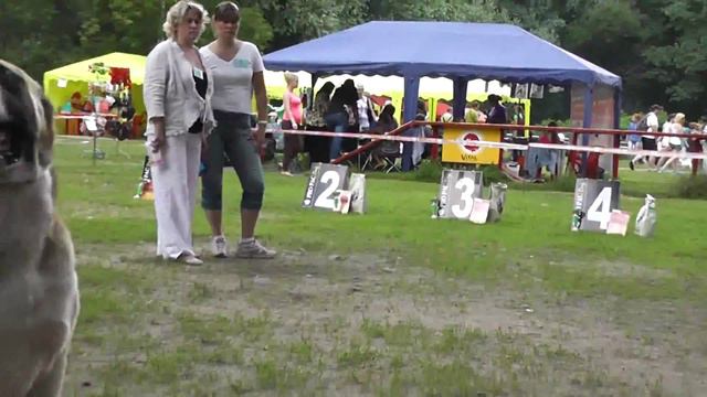 Моно среднеазиатских овчарок, клуб "Бриз", 05.07.2015 г. смотреть онлайн