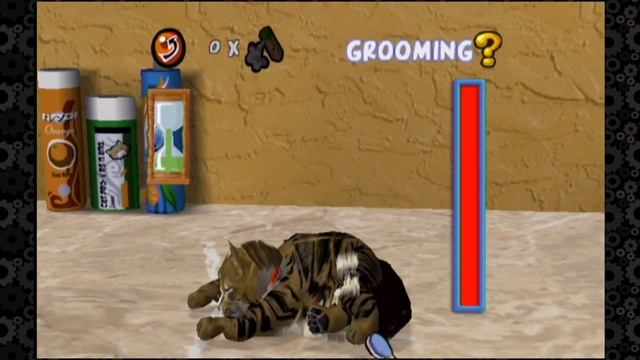 Purr Pals| Part 1| 360 no Groom смотреть онлайн