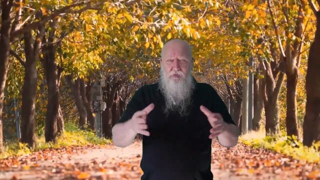 Бродячие собаки - решение проблемы смотреть онлайн