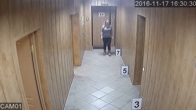 Видеокамера Tigris THL-D10 смотреть онлайн