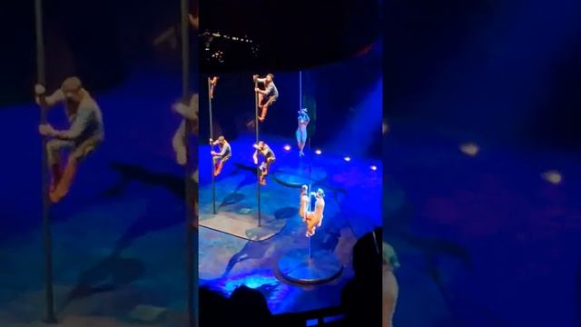 Цирк Дю Солей/Cirque du Soleil-Luzia в Лондоне в Альберт Холл/at the Albert Hall #shorts смотреть онлайн