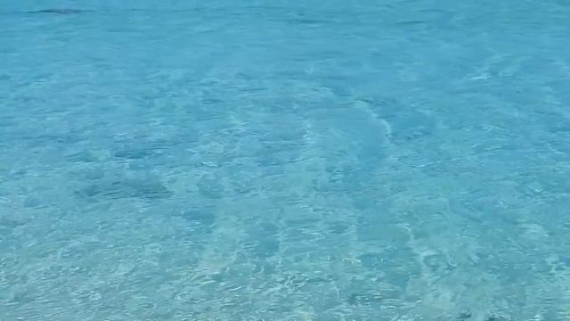 116 11 DSCN6687 POLYNESIE COOK RAROTONGA VIEW WATER 2013 SERGEJ FEDULOW смотреть онлайн