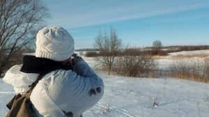 Охота на зайца 2024