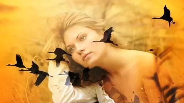 ОТШУМЕЛА ОСЕНЬ. Стихи, видео ряд Л. Казачок, музыка, исполнитель Е. Никитин смотреть онлайн
