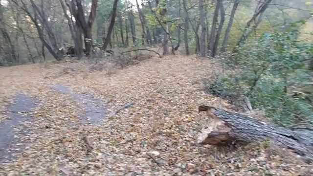 Последствия урагана в Луганской области! смотреть онлайн
