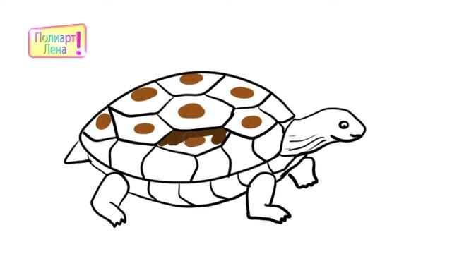 Рисуем большую черепаху\ Draw a big turtle смотреть онлайн