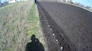 Мотоблок Нева МБ 2  (Сажаем картофель на фрезах)