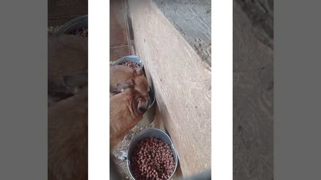 «Территория добра»