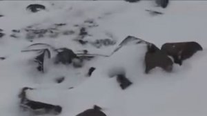 Экспедиция на заброшенную базу немцев в Арктике