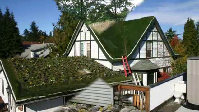 Красивые крыши домов на даче. Фото. Газоны и трава на крыше дома смотреть онлайн