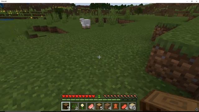 Hello Minecraft World! смотреть онлайн