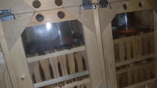 Как "автоматизировать" весеннюю побудительную подкормку и определить в какой семье мало кормов. смотреть онлайн