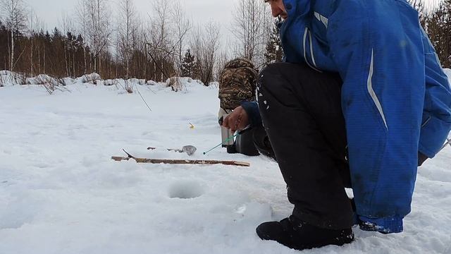 ПЛОТВА В ГЛУХОЗИМЬЕ 14.02.2017 "Рыбалка на среднем Урале" смотреть онлайн