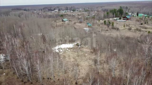 7055808 смотреть онлайн